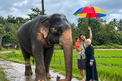 Kandy: Elephant Village Experience & Kandyan Dance Tour Kandy: Private Guided City Tour by Tuk-Tuk