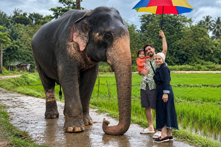 Kandy: Elephant Village Experience & Kandyan Dance Tour Kandy: Private Guided City Tour by Tuk-Tuk