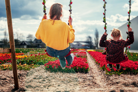 From Amsterdam: Tulip Experience and Tulip Fields Tour 4-hour tour Tulip Experience