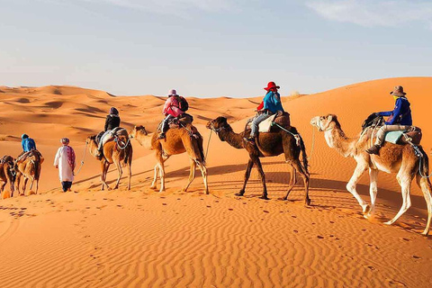 3-day Marrakech to Fes desert tour