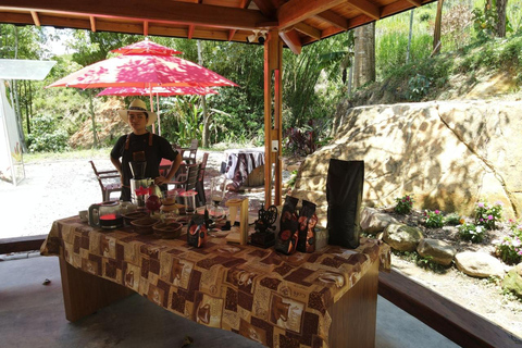 Medellín : Tournée des cafés dans les montagnes