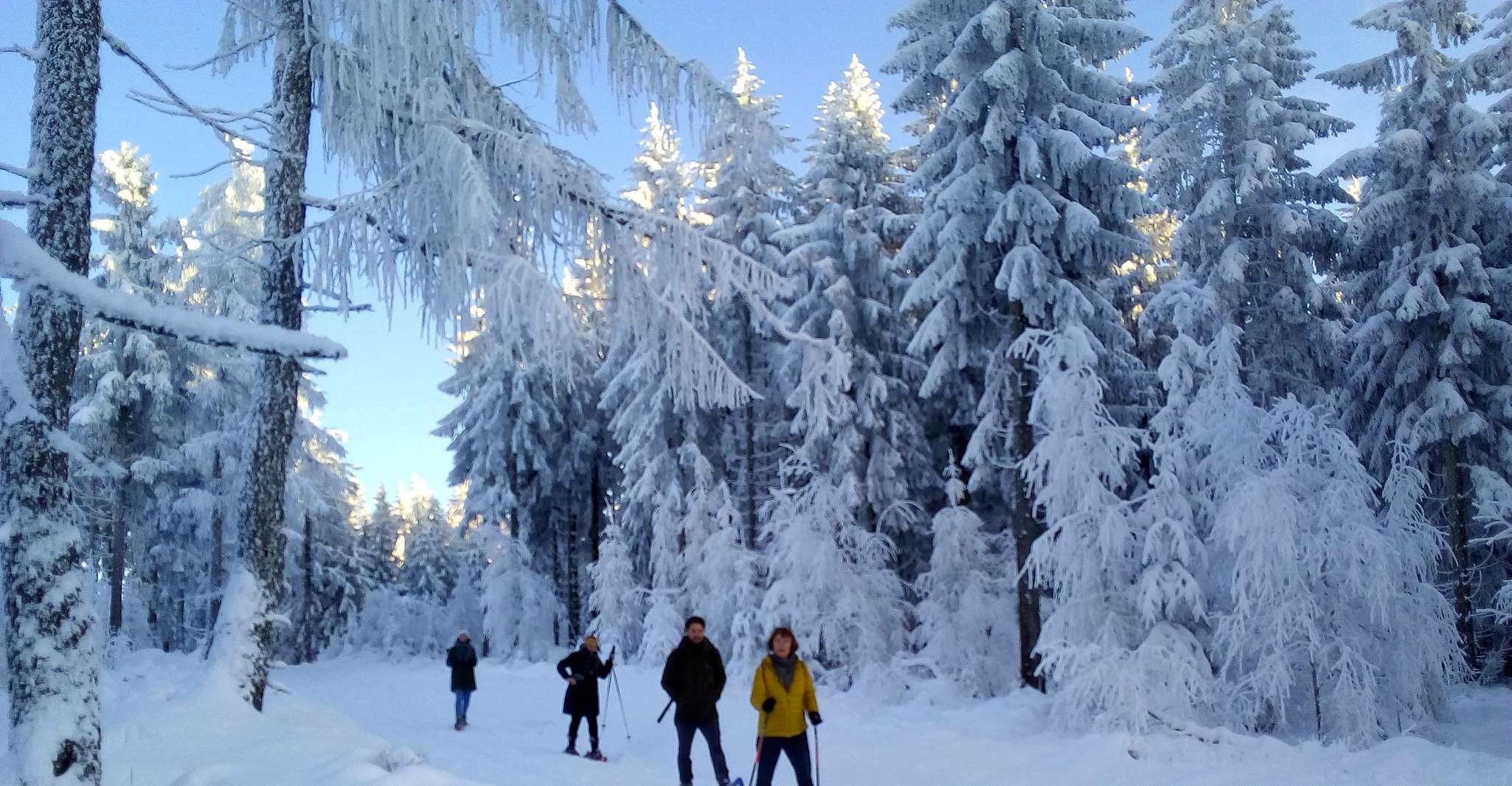 fichtelgebirge、スノーシューハイキング - Hizvo