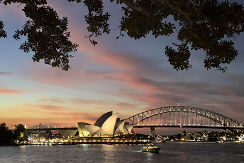 Sydney: Big Bus Panoramic Night Tour by Open-Top Bus