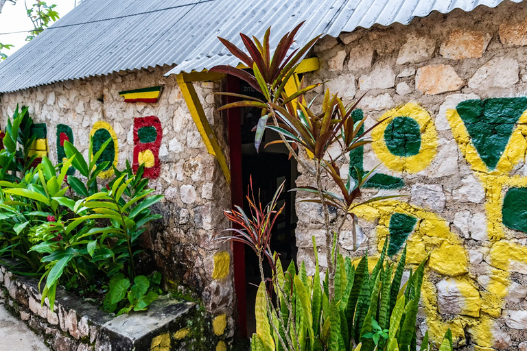 Bob Marley Mausoleum & Dunn’s River Falls Private Tour