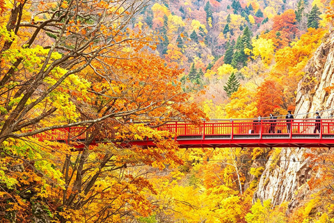 Sapporo: Head Buddha, Lake Toya & Hell Valley Bus Day Tour Upgrade to Private Tour