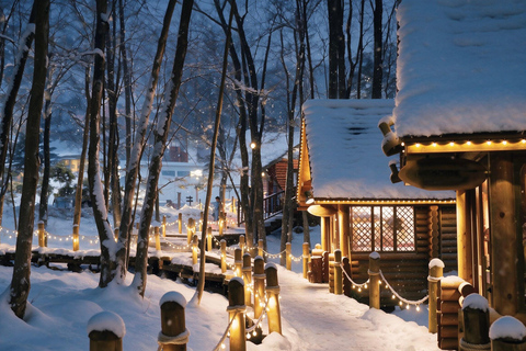 【Winter-Only】 Blue Pond Illumination & Ningle Terrace Tour Sapporo Tv Tower 1F Information Center Departure