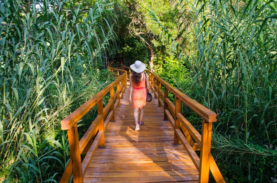 Woman in a sun hat walking along a wooden boardwalk between tall reeds and green vegetation