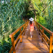 Split: Krka Waterfalls Trip with Boat Cruise and Swimming