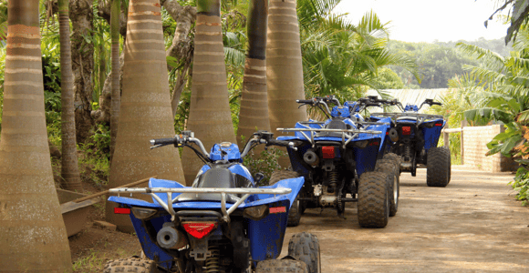 Djerba: Quad Bike Safari on the Island