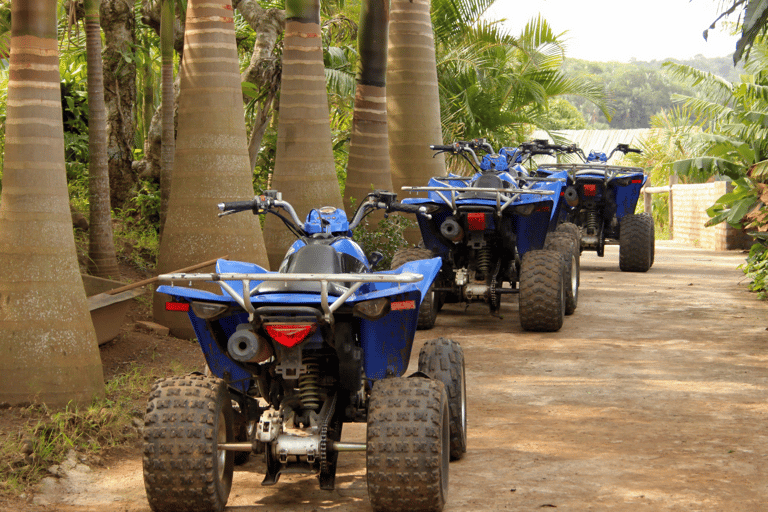 Djerbay Adventures : Safari quad Djerba