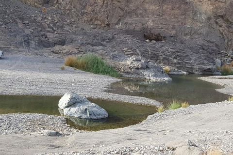 Dia inteiro em Wadi Abyadh - Aldeia de Wekan - Forte de Nakhal - primavera Quente