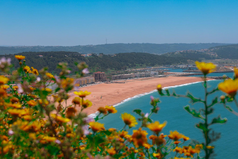 Von Lissabon aus: Fátima, Nazaré &amp; Sintra - 3 Städte geführte StadtführungTour auf Portugiesisch