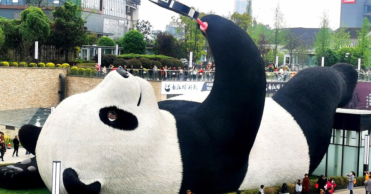 From Chengdu: Dujiangyan and Mount Qingcheng Day Trip - 2026 (Verified ...
