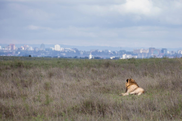 Nairobi: National Park Private Tour with Lunch at Carnivore Nairobi: National Park Private Tour without Lunch