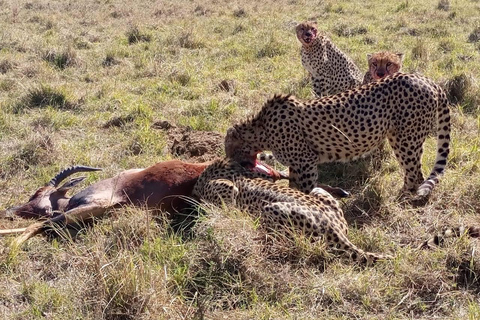 Safari de 3 días y 2 noches por Amboseli.Excursión de safari de 3 días y 2 noches a Amboseli.