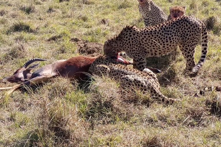 Safari de 3 días y 2 noches por Amboseli.Excursión de safari de 3 días y 2 noches a Amboseli.