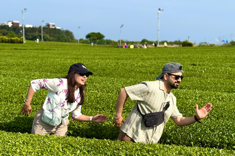 جيجو: جولة مجموعة صغيرة مع قطف الكاميليا واليوسفي