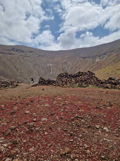 Fuerteventura Island Tour