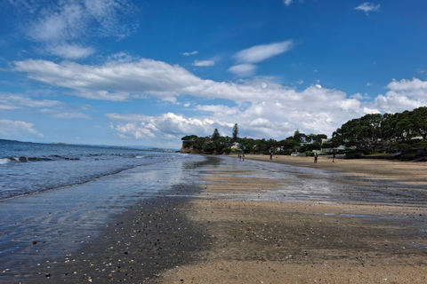 Auckland: mercati domenicali e passeggiata sul mareAuckland: mercati domenicali e passeggiate sul mare