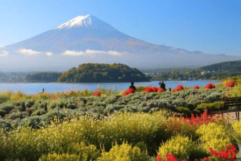 From Tokyo: Mount Fuji Full Day Customizable Private Tour