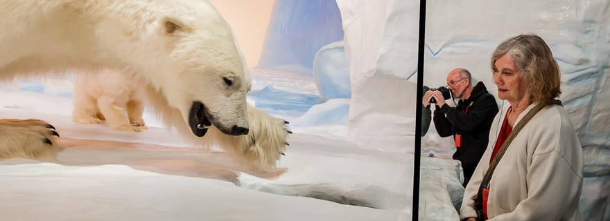 Ottawa : Musée canadien de la nature Admission