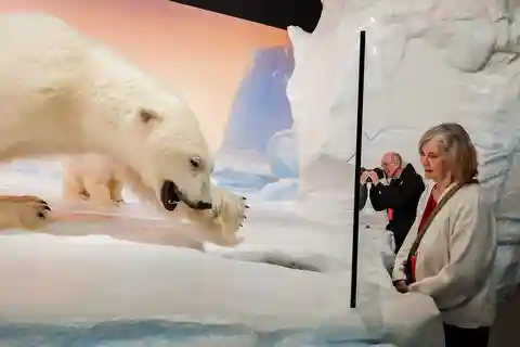 Ingresso no Museu Canadiano da Natureza