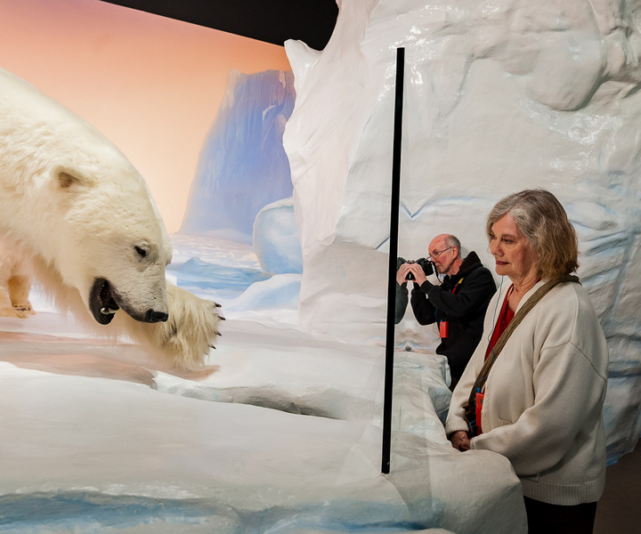 Ottawa: Canadian Museum of Nature Admission