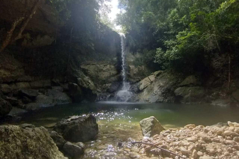 Porto Rico : Randonnée sur la rivière Gozalandia et visite des chutes d&#039;eau