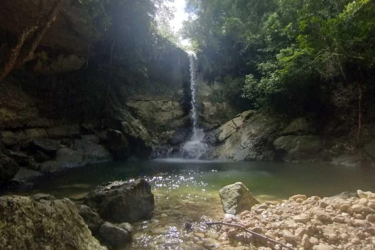 Porto Rico : Randonnée sur la rivière Gozalandia et visite des chutes d&#039;eau