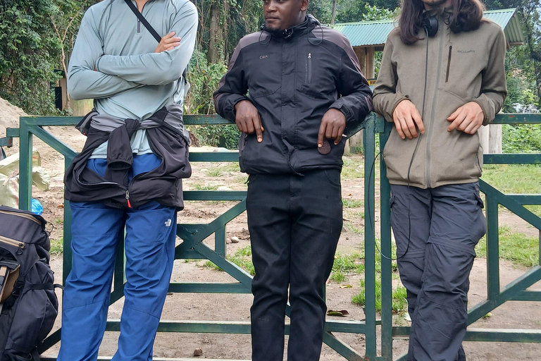 Uganda: Rwenzori Mountains Trekking Tour