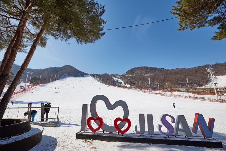 Da Seul: Tour sciistico in Corea - Jisan Forest ResortSnowboard &amp; Lift per principianti