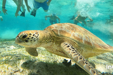 Depuis l&#039;île de Gili : Après-midi de plongée avec masque et tuba 3 îles