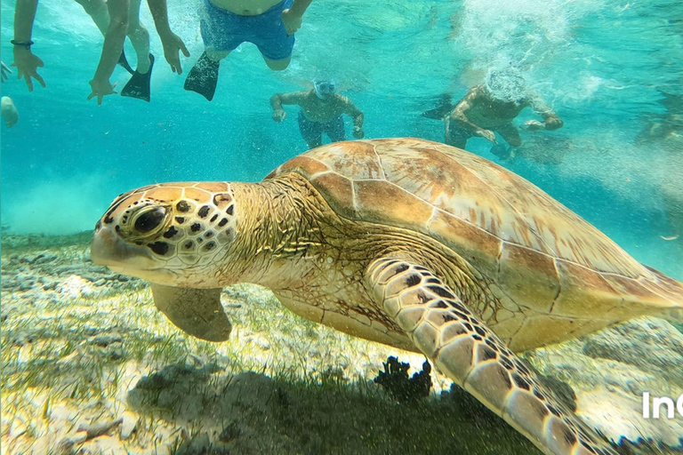 Depuis l&#039;île de Gili : Après-midi de plongée avec masque et tuba 3 îles