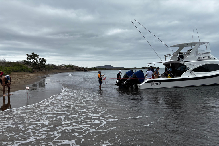 Galápagos: Floreana Tour with Snorkeling & Flamingo Lagoon