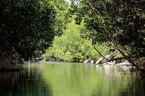 Cancun: Aventura na selva com lancha rápida e mergulho com snorkel.