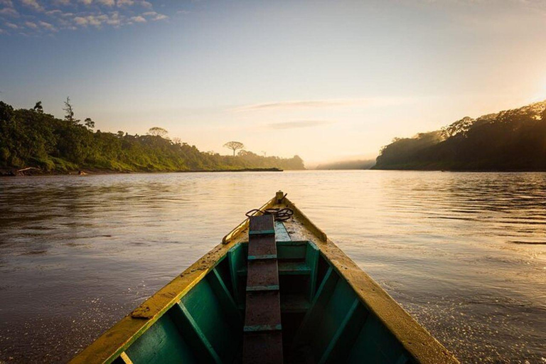 Puerto Maldonado: Collpa Chuncho 2-Day Jungle Tour