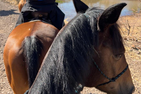 Mpisi Village Horseback Safari: Ride to a Living Community Horseback daytrip with Language Guide