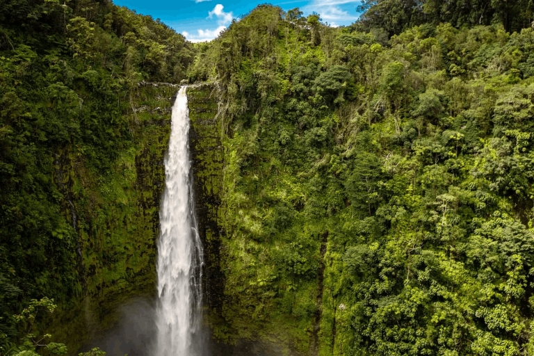 Panama : Escapade épique dans la jungle - Aventure hors route avec chute d'eauBandits Adventure Jungle Tour avec cascade