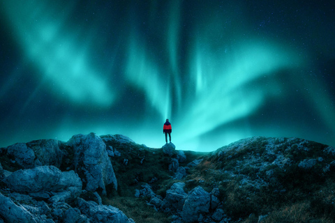 Tromsø: Safari guiado de auroras boreales en minibús Sprinter