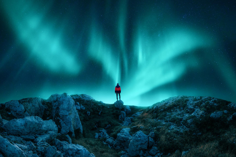 Tromsø: Safari guiado de auroras boreales en minibús Sprinter