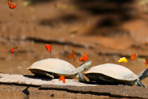 From Cusco: 3-day tour to the Peruvian Amazon with sleeper bus and lodge