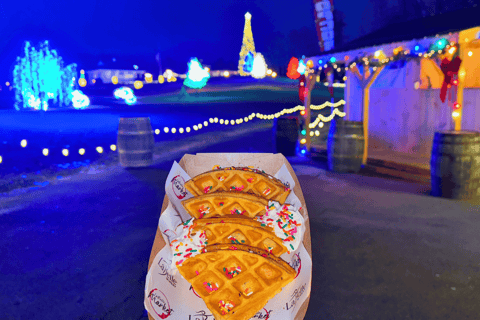 Derry, NH: LaBelle Lights Holiday Light Show Entry Ticket