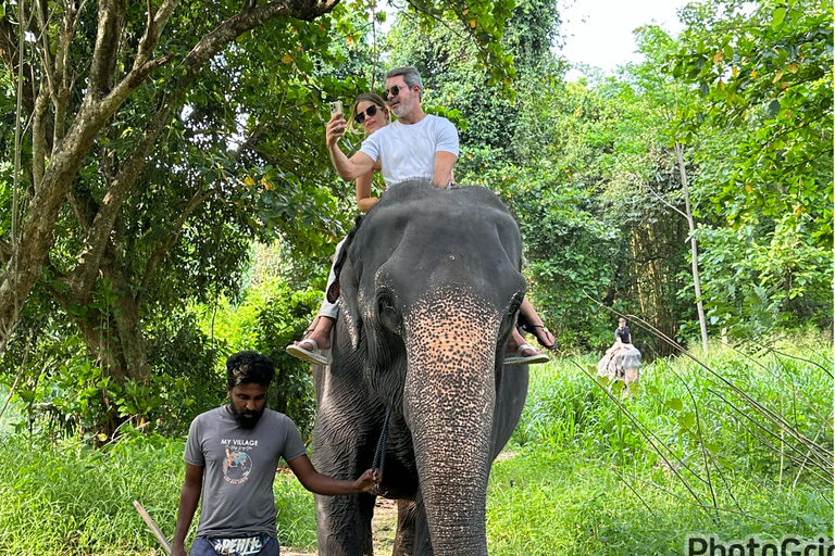 Tour del Triangolo Culturale dello Sri Lanka di 10 giorni+alloggio a 5 stelle