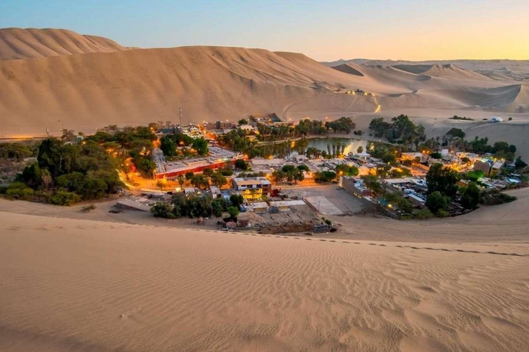 Lima : visite d&#039;une jounée à Paracas, aux vignobles et à Huacachina