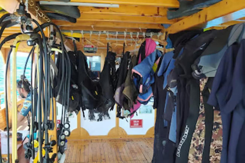 Side: Underwater Museum Scuba Diving Tour with Expert Diving Museum Scuba Diving Tour with Hotel Transfer