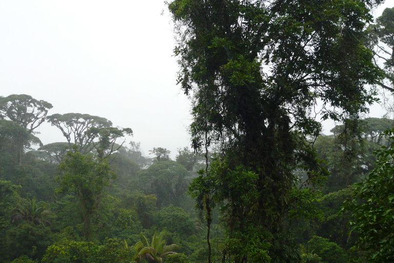 COSTA RICA:UPPTÄCK COSTARICAS VILDA DJUR-STRAND &amp; SKOG 2VECKOR