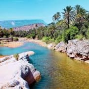 Agadir Full Day Paradise Valley & Sandboarding With Lunch | GetYourGuide