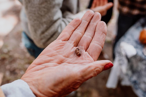 Bariloche: Chocolate Tasting, Exotic & Regional Flavors