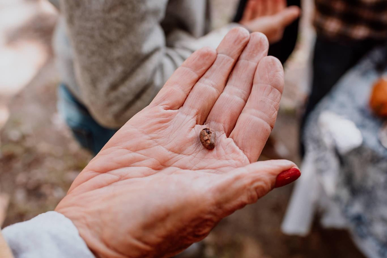 Bariloche: Chocolate Tasting, Exotic & Regional Flavors