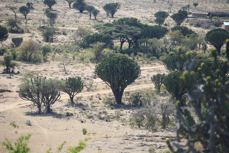 Samburu: A 3-day Wildlife Safari; Semi-Arid Region of Kenya